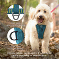 Kurgo Enhanced Strength Tru-Fit Smart Harness
