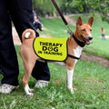 Zuo Bao Therapy Dog Jacket Vest for Large Dogs (Therapy Dog in Training-Large)