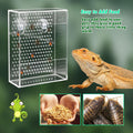 Bearded Dragon Feeder, Chameleon Bug Bowl, Transparentk Acrylic Reptile Feeder Box, Wall-Mounted Insect Food Dish with S