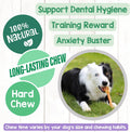 Nature Gnaws Beef Tendons for Dogs 7-11" (12 Count) - Long Lasting for Aggressive Chewers & Large Dogs - Natural Beef Jerky Dog Chew Bones - Rawhide Free