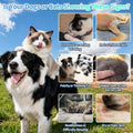 Flea and Tick Prevention for Dogs & Cats, Oral Drops, 2 fl oz