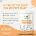 Fresh Eggs Daily Brewers Yeast Powder with Garlic & Niacin for Chicken & Duck Backyard Flocks - Suitable for Young Chicks & Ducklings - Supports Healthy Bone Development, Digestion & Immunity - 1lb