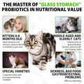 Cat Constipation Relief, Cat Laxative Constipation Relief, 100% Natural Laxative with 6 Probiotics Stool Softener, Promotes Digestive Health - 2 fl oz