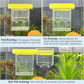 Floating Aquarium Breeding Box with Hatchery Box and Isolation Box