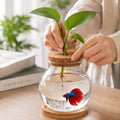 Healifty Desktop Fish Bowl, Glass Hydroponic Planter Tank Kit 5. 1 X 4. 7"