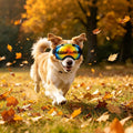Dog Goggles UV Protection for Medium Large Breeds Rainbow PC Lens Soft TPU
