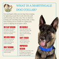 Country Brook Petz - HossFit Jr Wide Martingale Dog Collar - Training Collar with No Buckle - Service Dog Collar for All