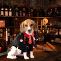 DELIFUR Dog Halloween Wizard Costume - Pet Adorable Fantacy Clothes Cat Cosplay Holiday Apparel Dress Up for Small Mediu