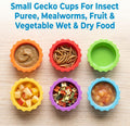 24Pcs Gecko Feeding Bowls Feeding Cups Reptile Food Water Dish