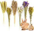 Sukh Natural Hamster Bedding Sprays - Foraging Cage Accessories