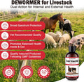 Dewormer, Liquid Formula, for Roundworms, Pinworms, and Others, 3.4 fl oz
