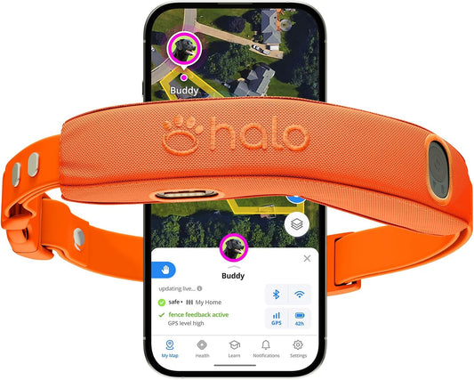 Halo Collar 5 Wireless Dog Fence System, GPS Tracking & Activity Insights