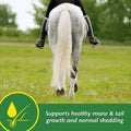 Farnam Super 14 Healthy Skin & Coat Supplement for Horses, Keeps Coats Shiny & Gleaming Year-Round 5 Pound, 80 Day Suppl