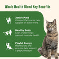 Nutrish Grain Free Wet Cat Food Chicken Purrcata Whole Health Blend with Real Shredded White Meat Chicken in Sauce, 2.8 oz. Cup, Pack of 12 (Rachael Ray)