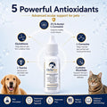 OcluVet Pet Eye Drops for Dogs & Cats, 2% NAC, 16 mL