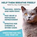 BestLife4Pets Cat Respiratory Comfort Supplement - 400 Pills
