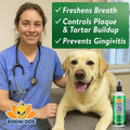 Bodhi Dog Natural Dog Breath Freshener Spray | Fresh Breath for Dogs, Tartar & Plaque Remover | Supports Teeth & Gum Hea
