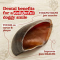 Natural Farm Cow Hooves (6 Pack), Odor-Free, All Natural Sourced from Farm-Raised Beef Hoof Dog Treats, Great Alternativ