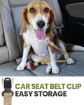 OutdoorMaster Bungee Dog Leash with Shock Absorption, Seatbelt-Buckle