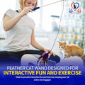 PET FIT for Life 2 Feather Wand CAT Toy, RED and Purple
