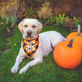 ADOGGYGO Halloween Dog Bandanas, Glow in Dark Plaid Dog Scarf, X-Large