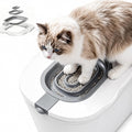 Cat Potty Training Kit