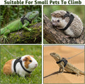 3 Pack Rat Ferret Squirrel Harness and Leash Set
