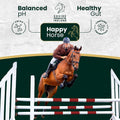 – Gastro Sport – Horse Supplies Gut Health Supplement with Probiotics, Prebiotics & Magnesium, Supports Digestion, Immun