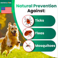 Flea and Tick Prevention for Dogs Chewables, Oral Flea and Tick Control