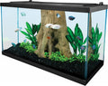 Tetra 29 Gallon Glass Aquarium, Rectangular Fish Tank