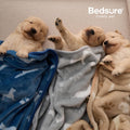 Bedsure 1 Pack 3 Dog Blankets for Small Dogs, Super Soft Puppy Blanket with Fluffy Premium Fleece Flannel, Cat Blanket for Crate & Indoor, Portable Throw Pet Blanket, Grey/Brown/Blue, 23x16 inch