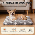 Fogkiss Dog Bed Mat, Reversible Crate Pad & Cute Dog Bed - Machine Washable Kennel Mat with Ultra Soft for Small Dogs (Cool/Warm), 24" x 18", Grey⋆