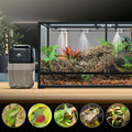 10L Reptile Mister Fogger with Timer, 4 Nozzles, High Pressure Automatic Misting System for Reptile Tank, Terrarium Humi