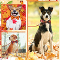 Sweetude 30 Fall Plaid Dog Collar Bow Ties Bulk Autumn Dog Bowtie Thanksgiving Puppy Accessories Bows Detachable Collar 