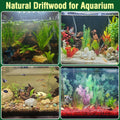 4pcs Natural Aquarium Driftwood Decoration,Perfect for Aquascaping,Fish Tanks and Reptile Habitats,Enhances Underwater A
