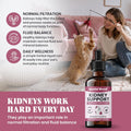 Special Breed Kidney Support for Cats - Rehmannia & Astragalus Liquid, 2 oz
