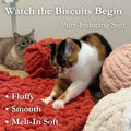 Urnat Cat Extra-Soft Kneading Mat, Handmade Washable Round Cat Pad Blanket for Indoor Kittens, Plush Breathable Cushion Bed for Cat Trees, Sofas & Floors (White,Small)