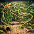 HERCOCCI Reptile Vines, Flexible Jungle Climbing Vines Terrarium Plastic Plants and Leaves Tank Accessories Decor for Ge