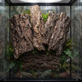 SHINEOFI 5pcs Natural Cork Bark for Reptiles, 5 Inch Terrarium Background Decor and Climbing Accessory for Bearded Drago