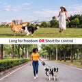 9.8 FT Dual Retractable Dog Leash for 2 Small Breeds Up to 44lbs Each