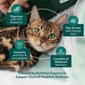 Wet Cat Food, Sea Protein Selection, Grain Free Morsels - 3oz, 12 Pouches