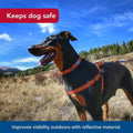 Coastal Pet K9 Explorer Reflective Adjustable Padded, 5/8" x 16" 24", Small