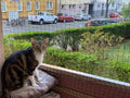 Cat Balcony Net, Pet Safety Fence for Balcony/Stairs/Window - Transparent Nylon Mesh Anti-Fall Netting for Dogs & Cats