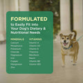 Pet-Tabs Multivitamin and Mineral Supplement for Dogs, Chewable Tablet, 60 Count Bottle