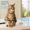 INABA Twin Packs for Cats, Side Dish/Topper Pouch, 1.4 Ounces per Serving, 16 Servings