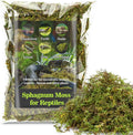 Sukh Sphagnum Moss for Reptiles - Green Terrarium Moss Substrate, 5oz