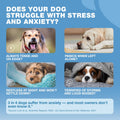Hemp Calming Chews for Dogs Anxiety - Dog Calming Treats with Melatonin, Valerian Root, Chamomile Extract & Vitamin B Complex - Canine Chews for Vet Visits, Grooming, Travel, Thunderstorms, Fireworks