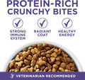 Purina ONE Natural Cat Food for Hairball Control, +PLUS Hairball Formula - 16 lb. Bag