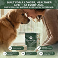 DA-1 Daily All-in-One Dog Supplement Powder | Dog Multivitamin with Probiotics for Gut Health | Supports Skin & Coat, Jo