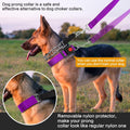 Prong Training Collar with Comfort Tips and Quick Release - Dog Choke Pinch Collar with Nylon Cover - Classic Collar and